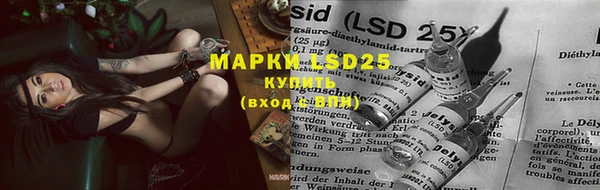 мяу мяу мука Киренск
