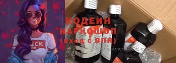 стафф Корсаков