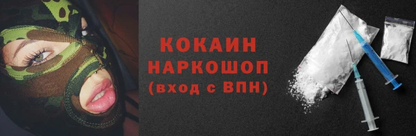стафф Корсаков