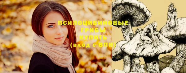 мяу мяу мука Киреевск