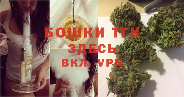 стафф Корсаков